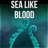 Healing Sleep Music - Calming Waters Consort