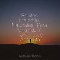 Prado Tranquilo - Musica Para Dormir & Masajes Spa & Sonidos De Truenos y Lluvia