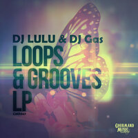 Take That To The Funk - DJ Lulu & DJ Gas