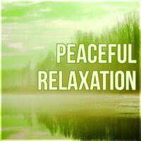 Healing Harmony (Pan Flute) - Restful Sleep Music Consort