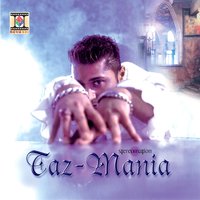 Peeni Peeni Shraab - Stereo Nation & Hunterz & Shanikah