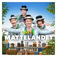 Ett udda heltal - Livet i mattelandet