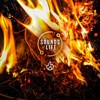 Fire Grass, Pt. 17 - Sounds Of Life