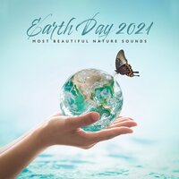 Meditation with Natural Ambience - Relaxing Nature Sounds Collection