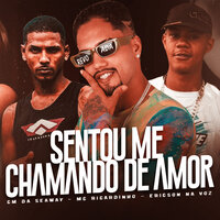 Sentou Me Chamando de Amor - CM da Seaway & Mc Ricardinho & Ericson na Voz