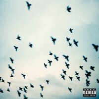 SOCIETY (INTERLUDE) - THE ARCHITECT & ARRIAZA