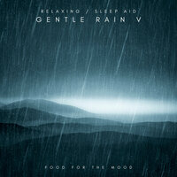 Gentle Rain - Food For The Mood