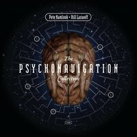 Good and Bad - Bill Laswell & Pete Namlook