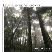 Condensación (Sonido Relajante de Agua) - Federico Ríos Santos