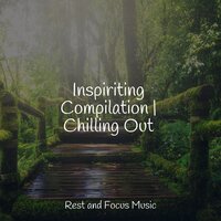 Starlight - Entspannungsmusik & Sleepy Night Music & Study Music & Sounds