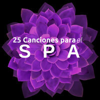 Inmersión Completa - Masajes Spas