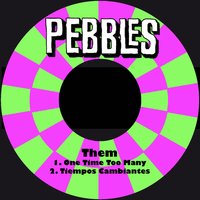 Tiempos Cambiantes - Them