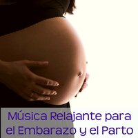 Abre tu Mente - Oasis Relaxamento