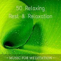 Zen Meditation (Mother Nature) - Calm Water Maestro