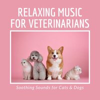 Gentle Hearts - Music for Dogs Collective