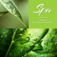 Sounds of Harmony - Pure Spa Massage Music