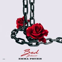 Risk - Emma Prybis
