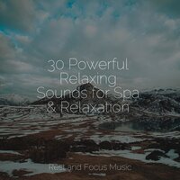 Relaxing Reverie - Life Sounds Nature & Bedtime Baby & Regengeräusche