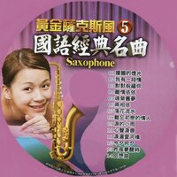淚的小雨 - 鶴鳴大樂隊