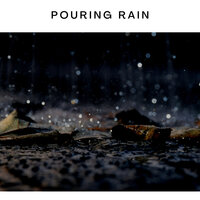 Rain the Woods - Relax, It's Raining & Pouring Rain & Rainy Parking Lot