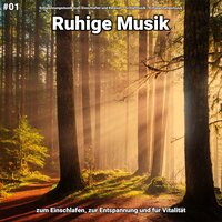 Ruhige Musik pt. 65 - Entspannungsmusik zum Einschlafen und Relaxen & Schlafmusik & Entspannungsmusik