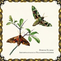 Abendpfauenauge - Dominik Eulberg