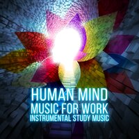 Exam Study - Human Mind Universe