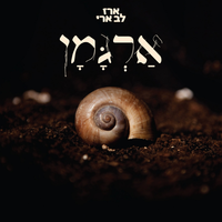 פרימיטיבים - Erez Lev Ari