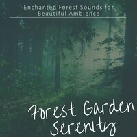 Positive Energy - Emmanuel Forest
