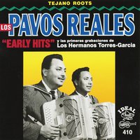 Te Recuerdo Mi Cancion - Los Pavos Reales