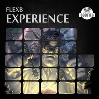 Amnesia - FlexB