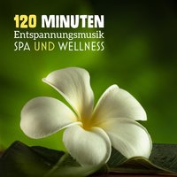Moment im Spa - Spa Musik Sammlung