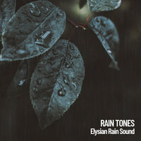 February Rain Tones - Weather and Nature Recordings & Nature Sounds Nature Music & Concentration Music for Work