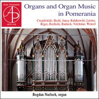 Toccata & fuga, Op. 62 - Bogdan Narloch