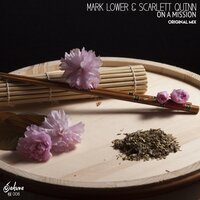 On A Mission - Mark Lower & Scarlett Quinn