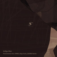 Perseverance - Indigo Man