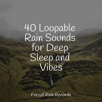 Bonfire Night - Rain Sounds ACE & Rain Makers & Nature Sounds Collection