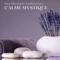 Le Instant Magique - Spa Musique Collection