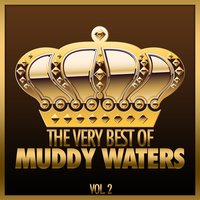 Stuff You Gotta Watch - Muddy Waters
