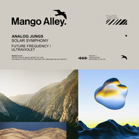 Ultraviolet - Analog Jungs