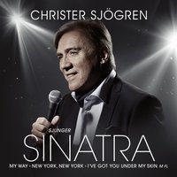 Summer Wind - Christer Sjögren