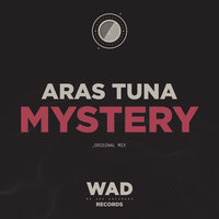 Mystery - Aras Tuna