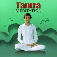 Harmony of Senes - Yoga Meditation Music Set