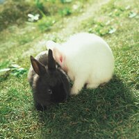 She`s a Baby - Zico