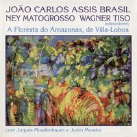 Suite Ii Além da Floresta: Prelúdio / Episódio da Lua - João Carlos Assis Brasil & Ary Sperling & Wagner Tiso & Эйтор Вилла-Лобос