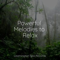 Music for Relaxation - Weather Factory & Thunder and Rain Storm & Zarobi