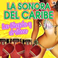 Te Sigo Esperando - La Sonora del Caribe
