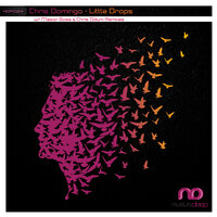 Little Drops - Chris Domingo & Chris Odium