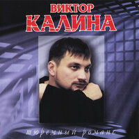Жизнь продолжается - Виктор Калина