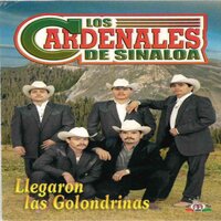 Llegaron las Golondrinas - Los Cardenales De Sinaloa